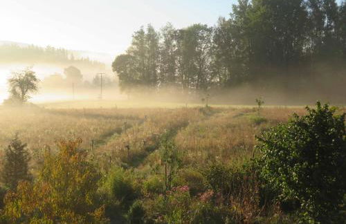 Ferienhaus Waldblick - Foto 34