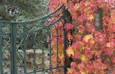 Quinta das Aveleiras - Foto 6