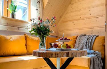 Pensjonat Dzianiszówka - Basen Jacuzzi Sauna - Foto 21