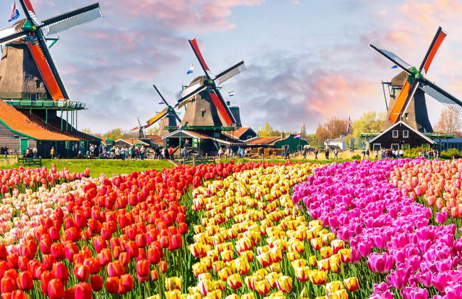 Excursão ao Keukenhof e a Delft - Foto 3