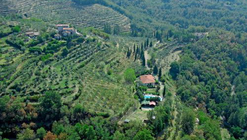 Residence Casa Lama - Foto 3