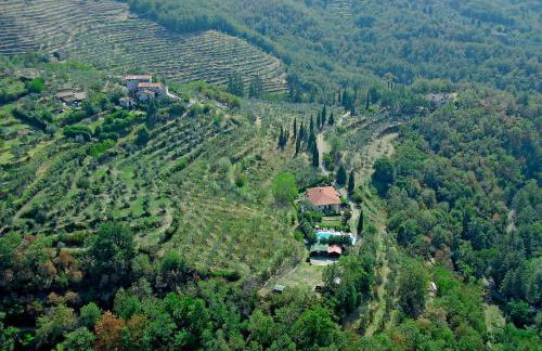 Residence Casa Lama - Foto 3