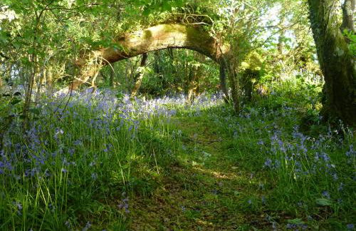 Orchard Loft - Foto 39