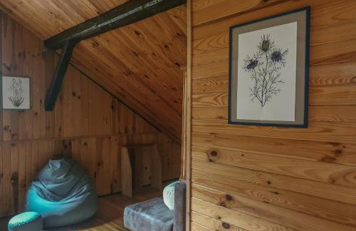 Kałamunka - Foto 60