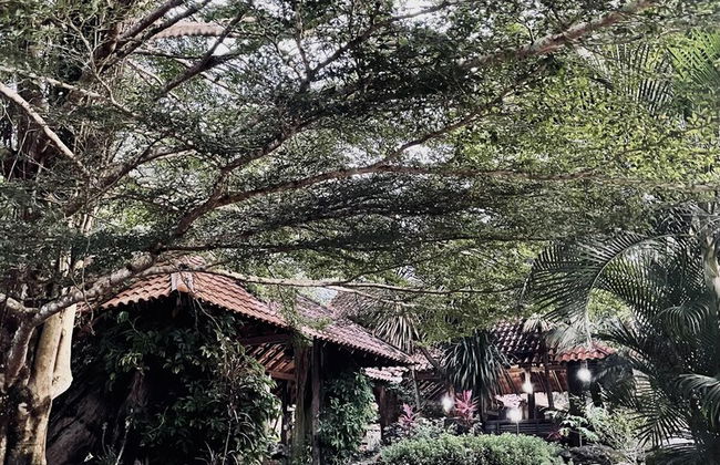 Sahom Valley Resort - Agro & Eco - Foto 36