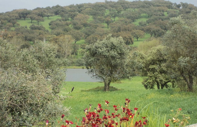 Shared Farmhouse Near Serra Monfuradoca - Foto 25