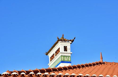 Monte Casa Branca - Foto 51