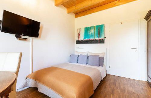 Privat Apartment- Near Strasbourg, Baden Baden - Foto 59