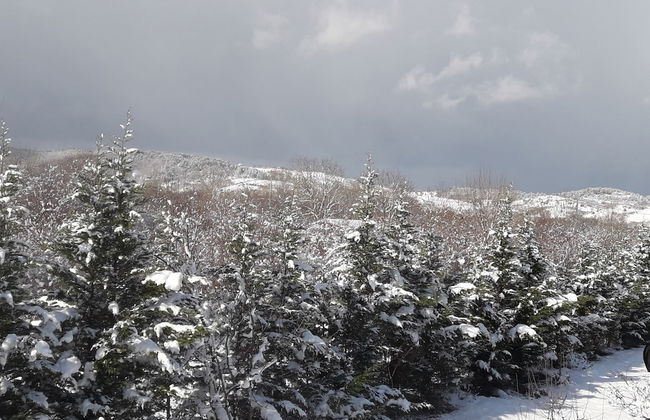 Vira Garden House - Foto 79