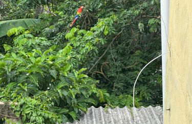 Apto Natureza Verde Manauara II - Foto 12