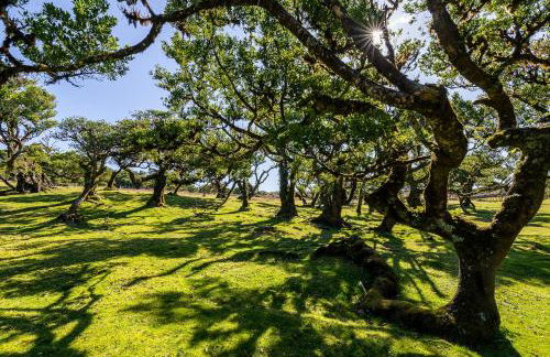 Recanto das Florenças (2) - Photo 51
