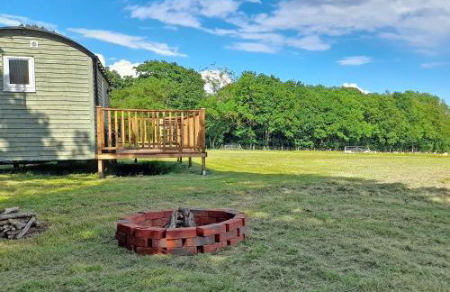 Badgers - Uk46750 - Foto 11