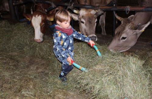 Andreashof - Foto 15