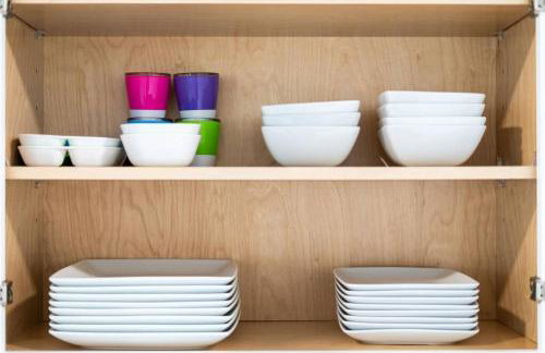 Cacti - Cactyou - Cactus - Foto 30