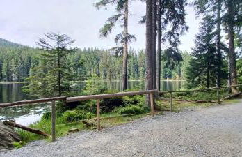 Fewo-Harlachberg-Blick-1 - Foto 20