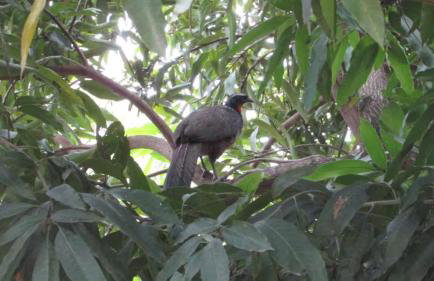 Casinha Charmosa & Rústica - Foto 6
