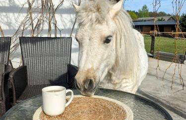 Hacienda Natura Agroturystyka - Photo 19