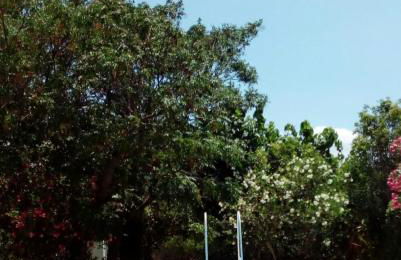 VILLA PROVIDENCIA - Foto 34