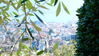 Casa Segantini - Panorama Pool Apartment - Photo 4, Garden view