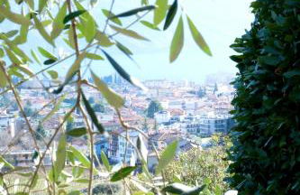 Casa Segantini - Panorama Pool Apartment - Photo 4