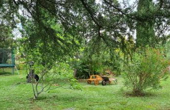 La Passiflore - Foto 12