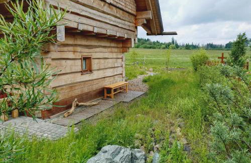 Log Cabin In The Upper Harz Mountains - Foto 33