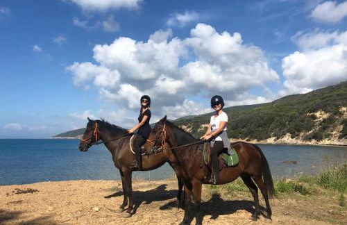 Villa Podere 109 - BioWine - Foto 81