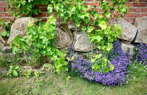 Löwenherz Appartements - Foto 72