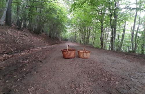 Casa Fraile aisa - Photo 48