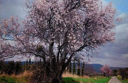 La perle de Gordes - Photo 68