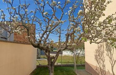 El Roure - Foto 43