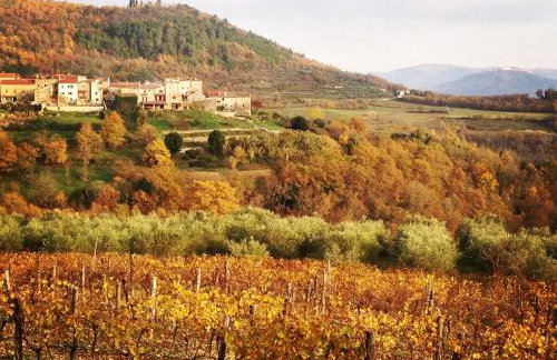 Bolara 60: the Cottage - Foto 47