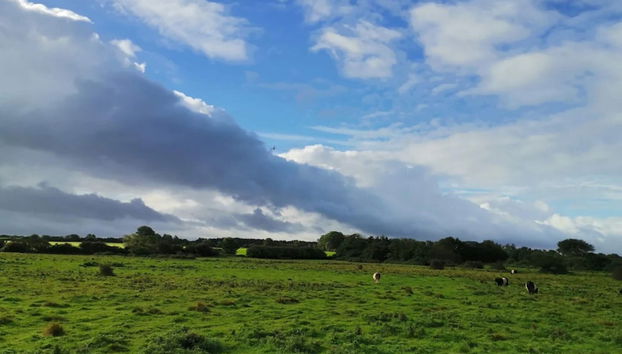 6 Person Holiday Home in Nordborg-by Traum - Foto 5, Miscelánea