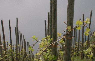 Ferienhaus Berkele für 8 bis 12 Personen - Foto 48