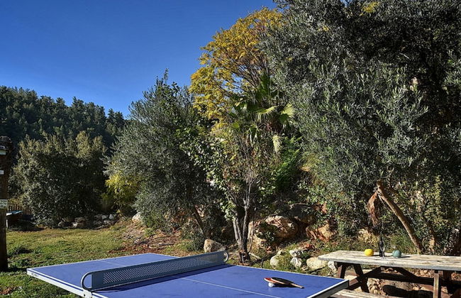 Niflaot Hagalil - Foto 39