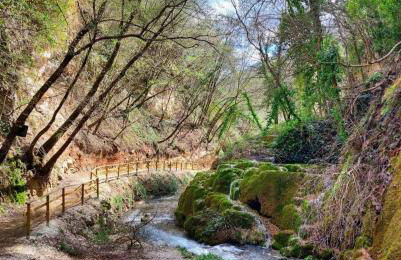 Agriturismo Roccamaia - Foto 10