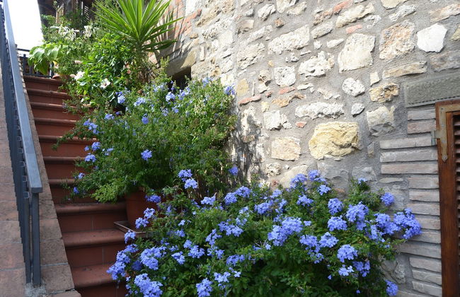 Borgo San Savino - Foto 22