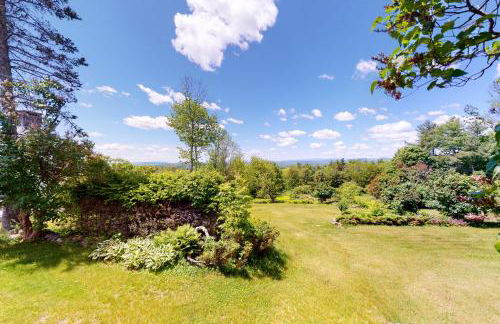 Willis Croft - Foto 10