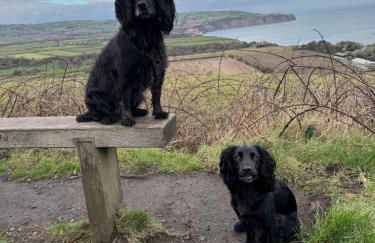 Bank Top Barn Double Bedroom Self-catering 2 guests - Foto 12