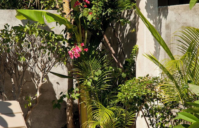 Taman Senang - Private Pool Villas - Gili Air - Photo 32