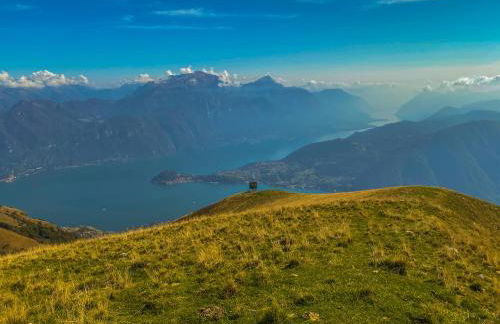 Alexander Place - Foto 18