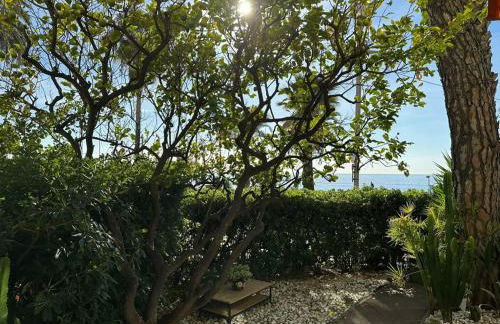 Garden Atlantide Promenade - Foto 8