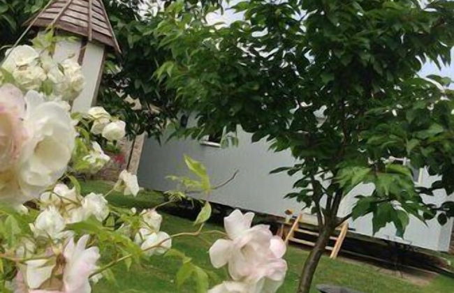 Posh Huts - Photo 24