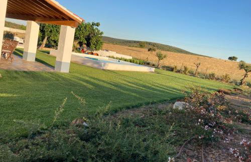 Monte do Pombal - Foto 58