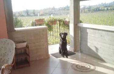 Uno sguardo sulla Valpolicella - Foto 5