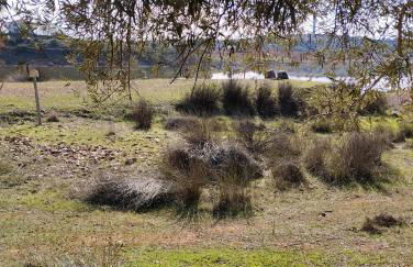 casa rural El Realengo - Foto 8