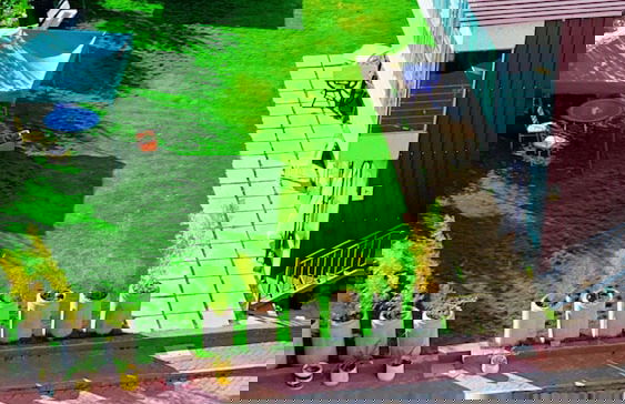 Caster JKIA Homes - Foto 72