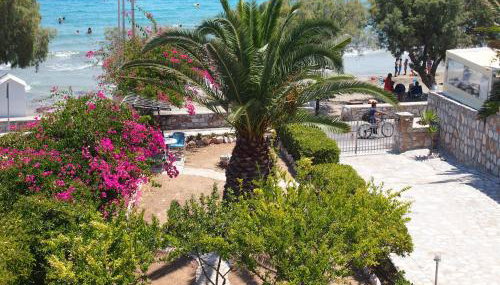 Villa Dolphin - Foto 2, Garden, Garden view