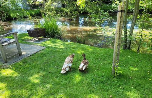 Weaver's Cottage - Foto 10