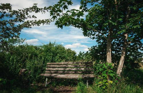Haus Archaeopteryx – privater Außen-Pool – einzigartig im Naturpark - Foto 18
